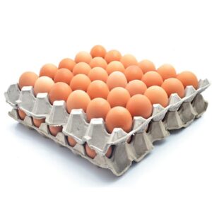 Chicken Eggs