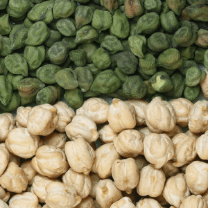 Chickpea (Legume)
