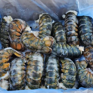 Frozen Lobster