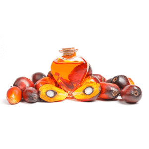 Palm Oil (Crude & Refined)