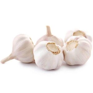 White Garlic
