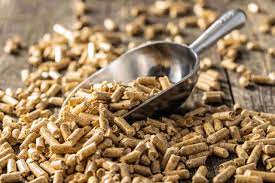 Biomass Wood Pellet